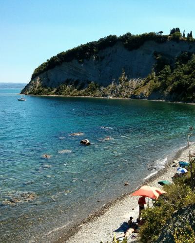A sunny coastal scene showing a crescent-shaped pebble beach with turquoise water, a prominent white cliff face topped with green vegetation and trees, and a few beachgoers with umbrellas in the foreground.