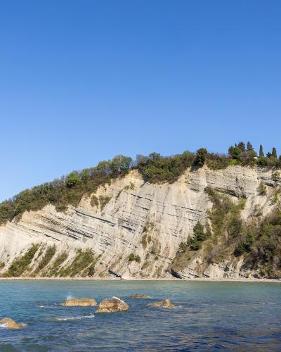The Strunjan flysch cliff rising over turquoise Adriatic water in Slovenian Istria