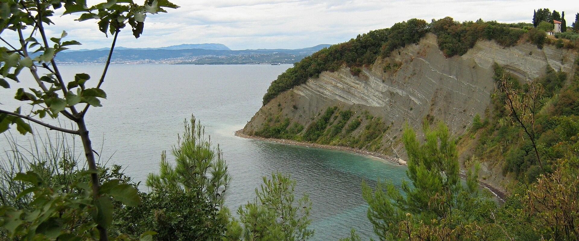The Strunjan cliff above the Adriatic