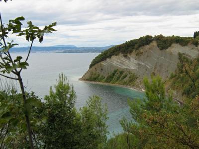 The Strunjan cliff above the Adriatic