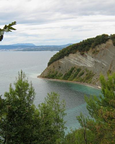 The Strunjan cliff above the Adriatic
