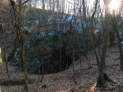 A dark, vertical cave entrance or sinkhole set into a rocky, forested hillside covered in fallen leaves, with sunlight filtering through the trees from the upper right.