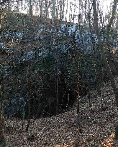 A dark, vertical cave entrance or sinkhole set into a rocky, forested hillside covered in fallen leaves, with sunlight filtering through the trees from the upper right.
