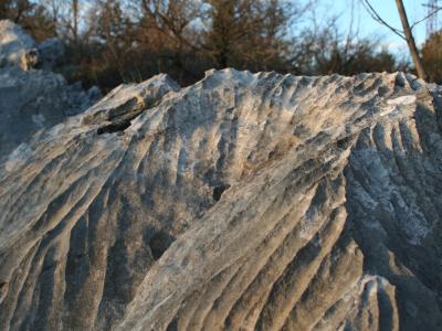 A close-up view of a limestone rock surface featuring deep, parallel grooves and ridges, with trees and a blue sky visible in the background.