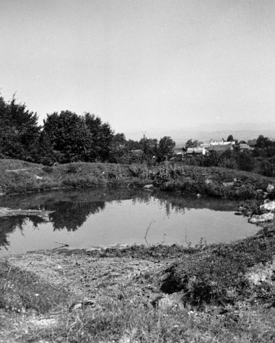 A black and white photograph showing a small, irregularly shaped pond or natural pool surrounded by grassy banks and trees, with a village visible in the background.