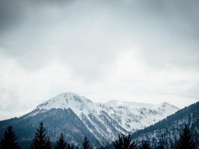 Bohinj-74203