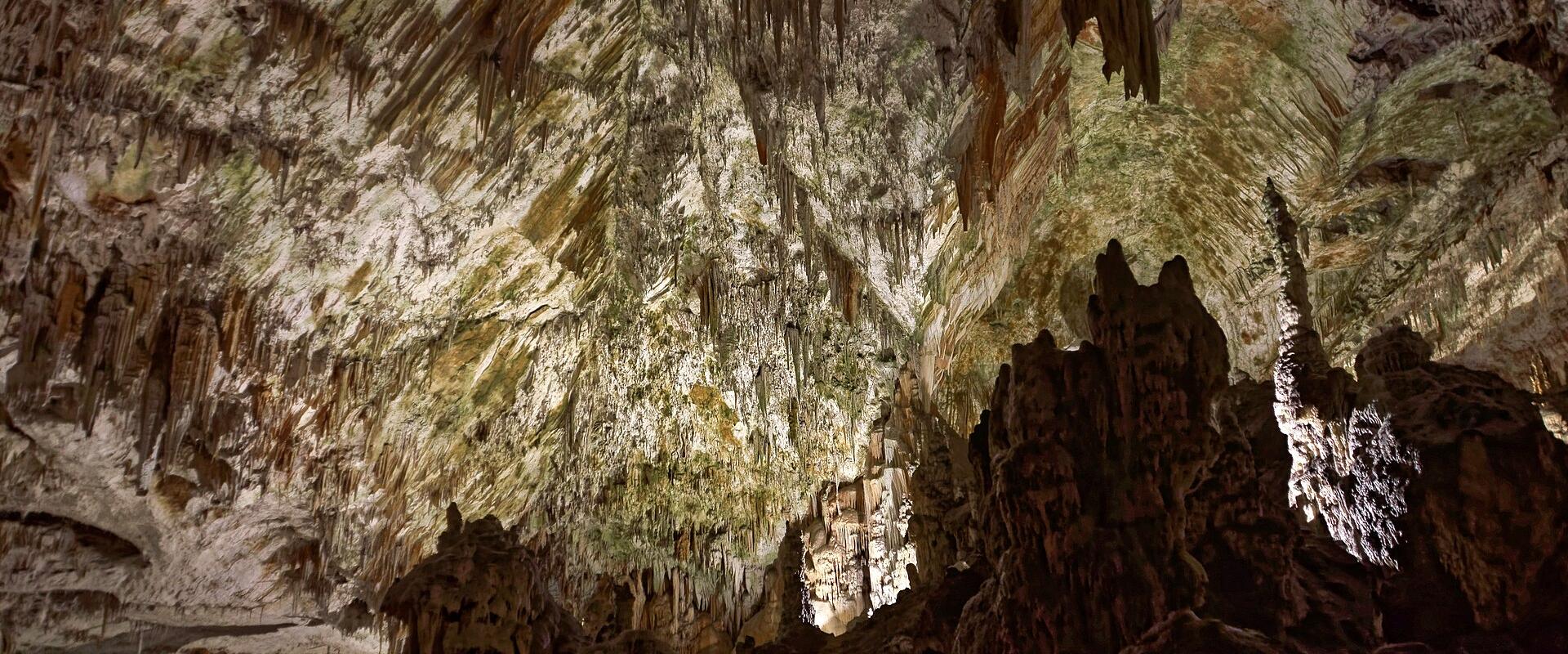 Postojna Cave