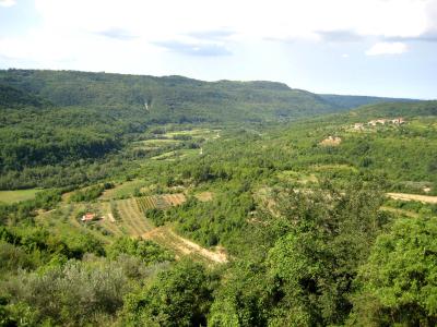 Wooded slopes of the Dragonja valley