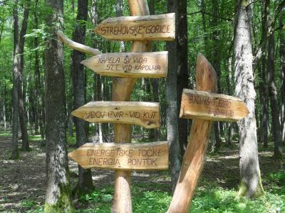 A rustic wooden trail signpost in a forest with multiple directional arrows pointing to locations like "STREHOVSKE GORICE", "BUKOVNIŠKO JEZERO", and "KAPELA SV VIDA".