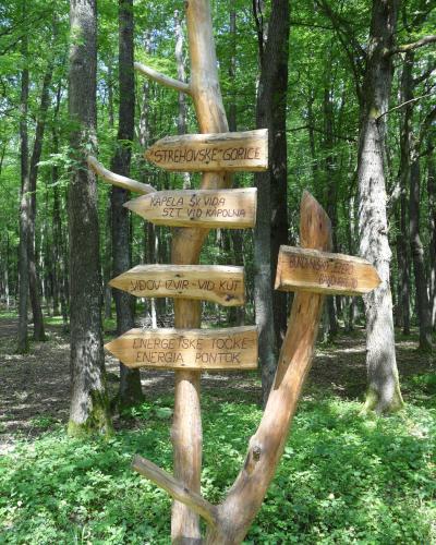 A rustic wooden trail signpost in a forest with multiple directional arrows pointing to locations like "STREHOVSKE GORICE", "BUKOVNIŠKO JEZERO", and "KAPELA SV VIDA".