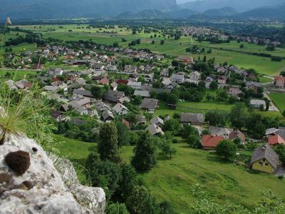 Žirovnica