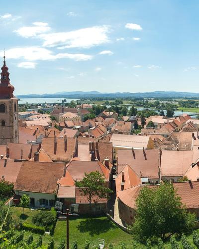 Ptuj panorama 01