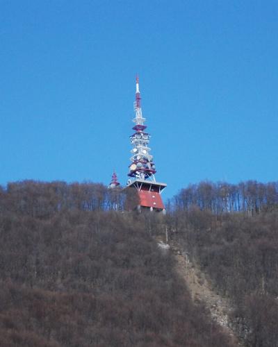 A tall telecommunications tower with red and white markings stands on the ridge of a forested hill under a clear blue sky.