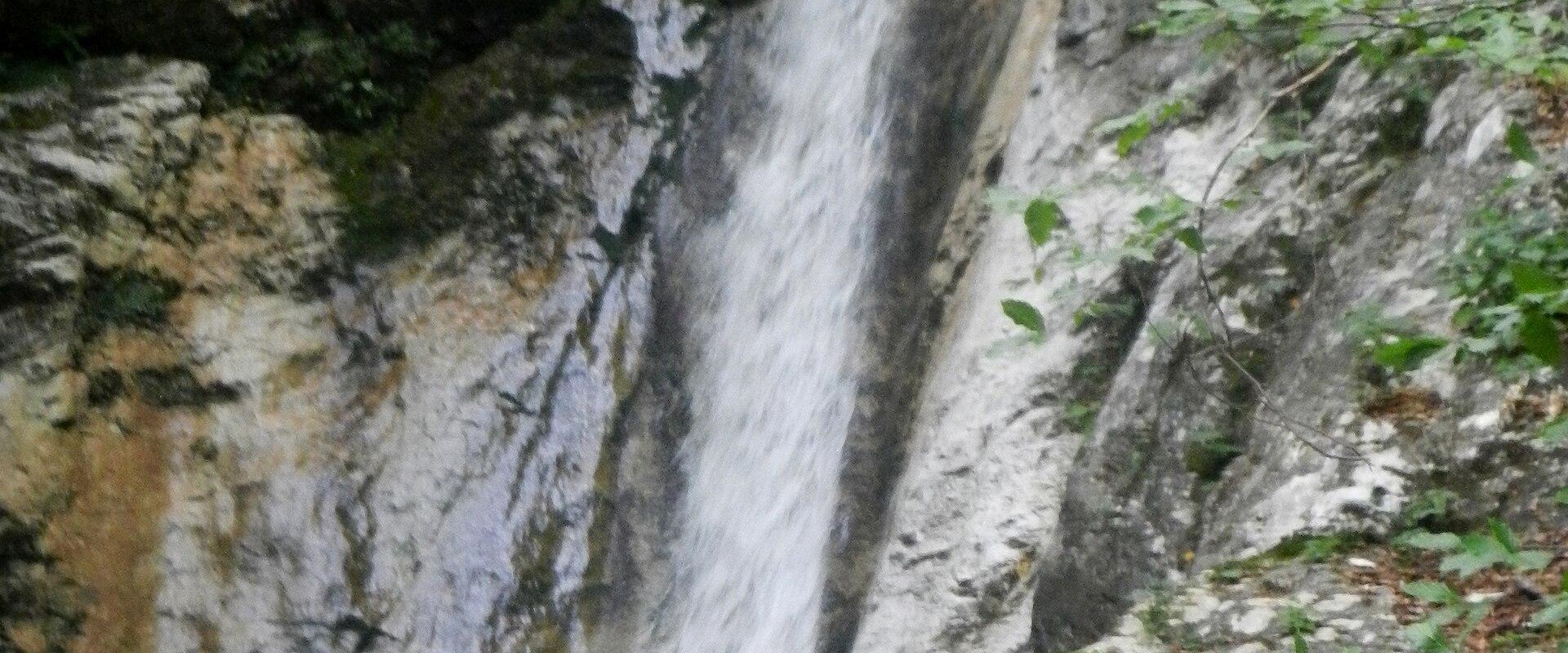 Sušec