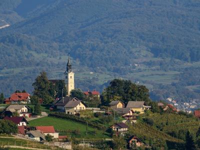 Trška gora hill with its church and vineyards above Novo mesto