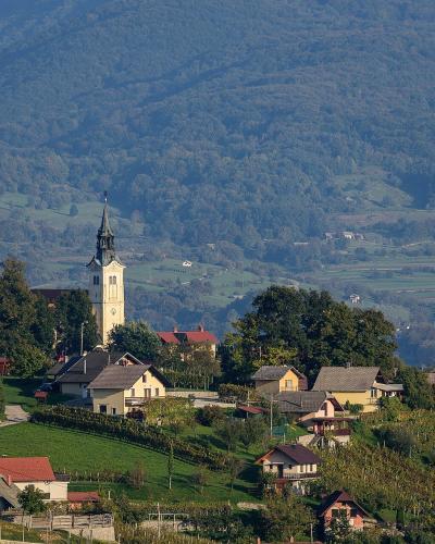Trška gora hill with its church and vineyards above Novo mesto