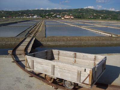 A wooden handcart on narrow-gauge tracks in the foreground, with extensive rectangular salt evaporation ponds and a green hillside village in the background.
