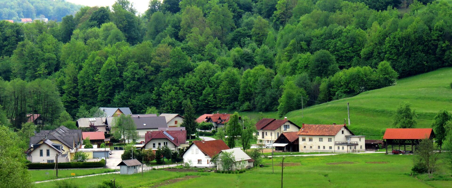 A yellow rectangular road sign reading "Škofljica" stands on the right side of a paved road, with a traffic warning sign and houses visible in the background.
