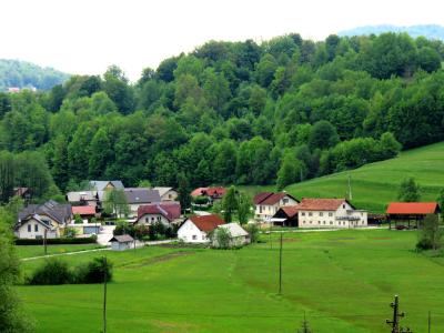 A yellow rectangular road sign reading "Škofljica" stands on the right side of a paved road, with a traffic warning sign and houses visible in the background.
