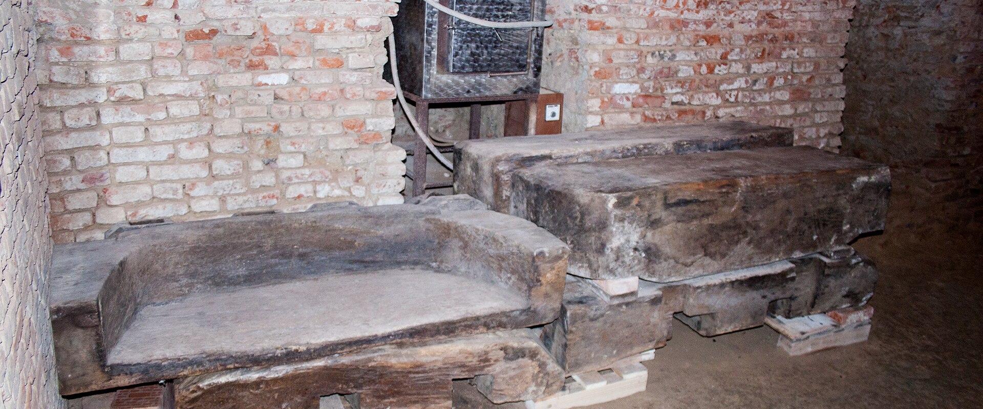 Cellar of Lendava Castle, 2013-08-11-3