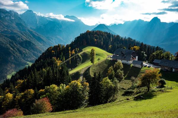 Solčava Pastoral Landscape