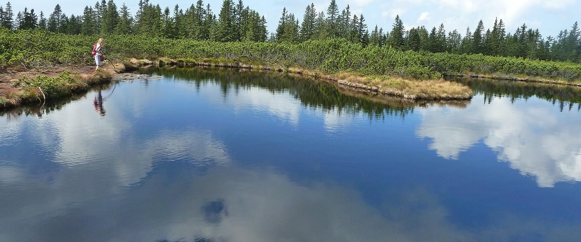 One of the Lovrenc Lakes on the Pohorje plateau reflecting the sky, surrounded by peat bog and spruce forest