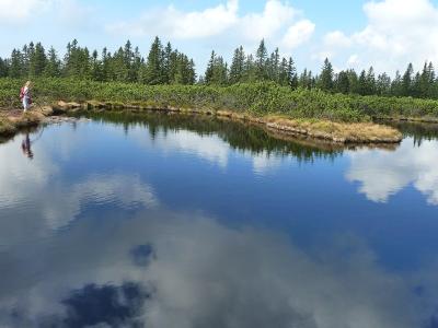 One of the Lovrenc Lakes on the Pohorje plateau reflecting the sky, surrounded by peat bog and spruce forest