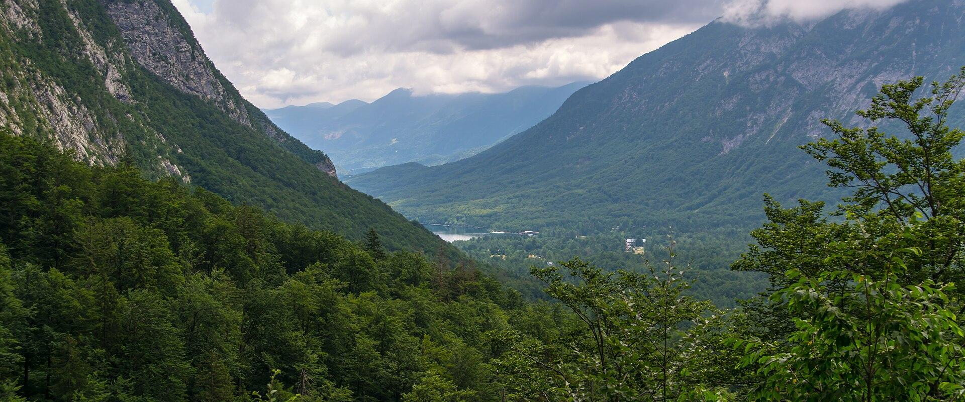 Lake Bohinj