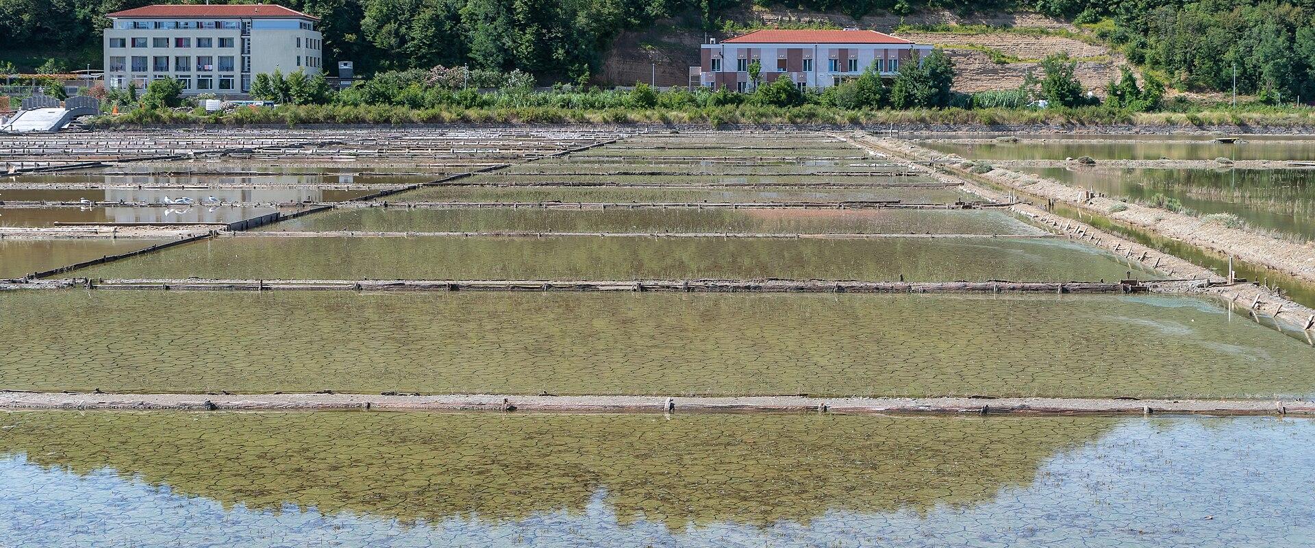 Salt pans of the Strunjan saltworks on the Slovenian coast