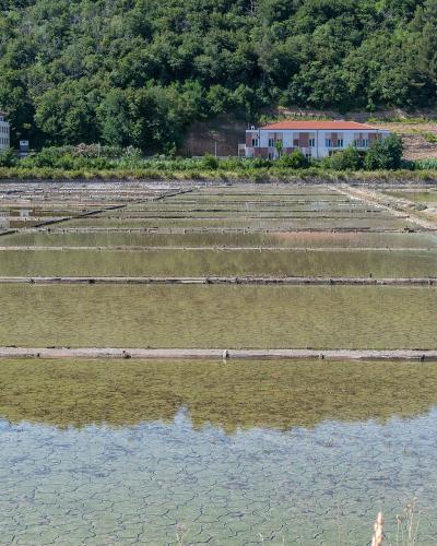 Salt pans of the Strunjan saltworks on the Slovenian coast
