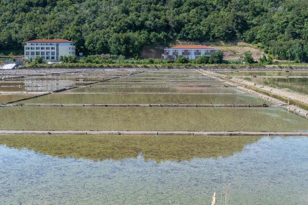 Strunjan's salt-making village