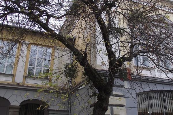 Maribor Art Gallery