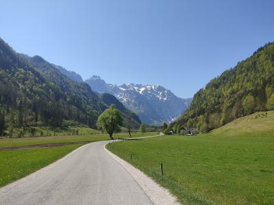 A paved road curves through a green alpine valley with forested slopes and snow-capped mountains in the background under a clear blue sky.