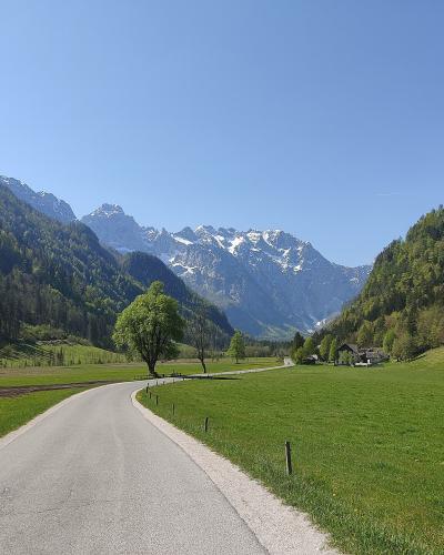 A paved road curves through a green alpine valley with forested slopes and snow-capped mountains in the background under a clear blue sky.