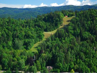 The forested Straža hill above Bled with its ski slope