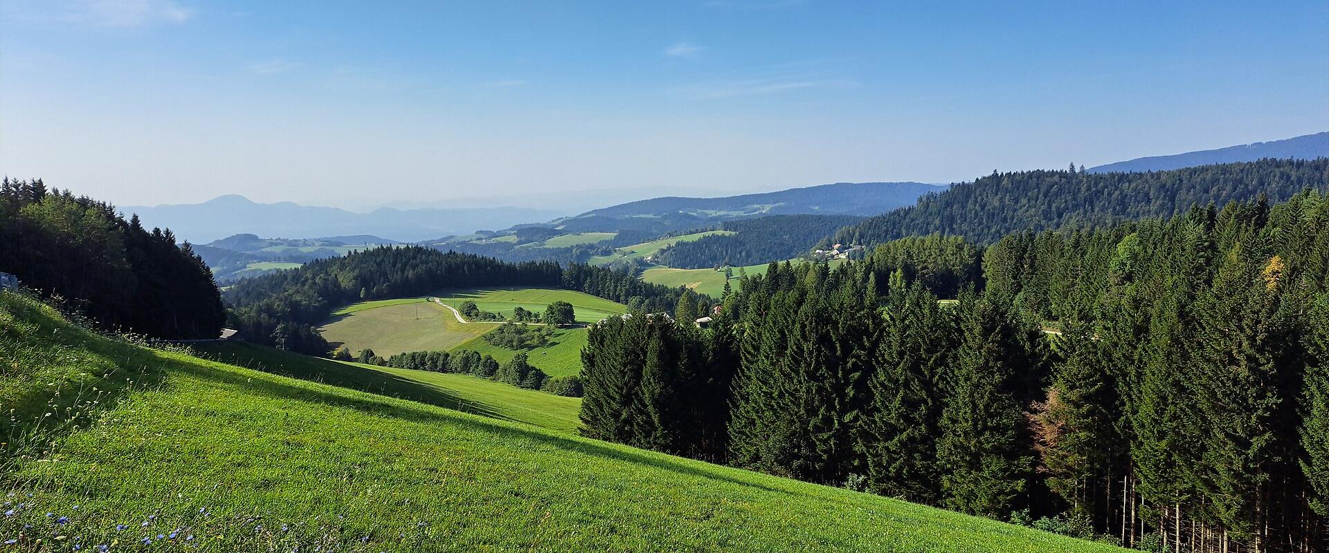 Pohorje