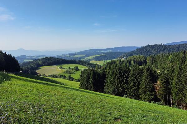Pohorje